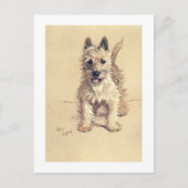 Het Hoogland Wit Terrier van het westen Briefkaart (Voorkant)