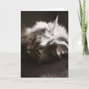 Het hopen van dingen die omhoog kijken/denken van  kaart