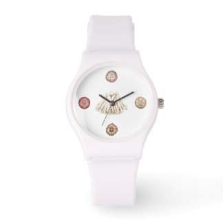 Het horloge van de eendenmossel
