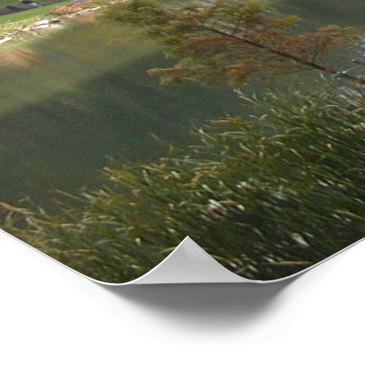 Het hotel in het centrale park poster (Hoek)