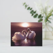 Het houden Zwans die een Hart vormen Briefkaart (Staand voorkant)