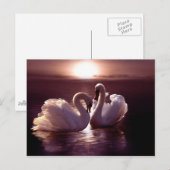 Het houden Zwans die een Hart vormen Briefkaart (Voorkant / Achterkant)