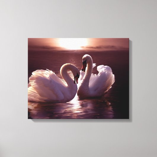 Het houden Zwans die een Hart vormen Canvas Afdruk (Voorkant)