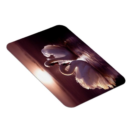 Het houden Zwans die een Hart vormen Magneet (Rechterzijde)