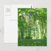 Het huilen van Wilgen met Vijver Briefkaart (Voorkant / Achterkant)