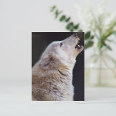 HET HUILENDE BRIEFKAART VAN DE WOLF (Staand voorkant)