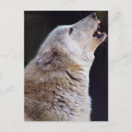 HET HUILENDE BRIEFKAART VAN DE WOLF