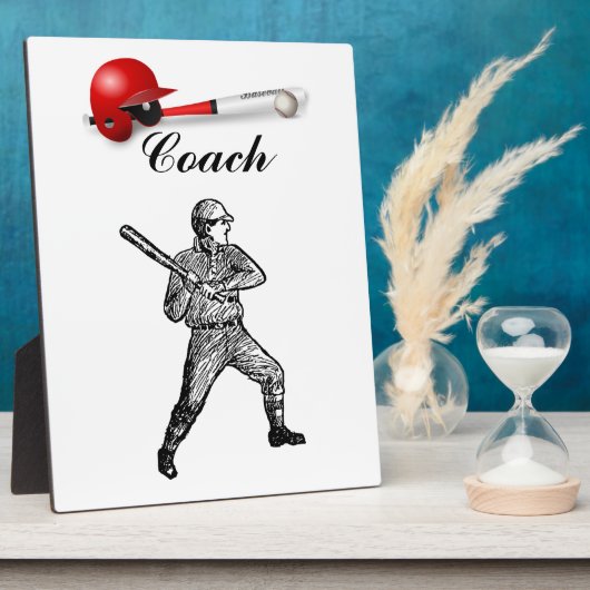 Het huis stelt het Honkbal van de Pret van de Bal Fotoplaat (Zijkant)