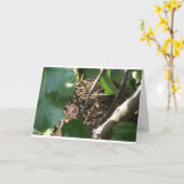 Het huis tjirpt naar huis kaart (Gele Bloem)