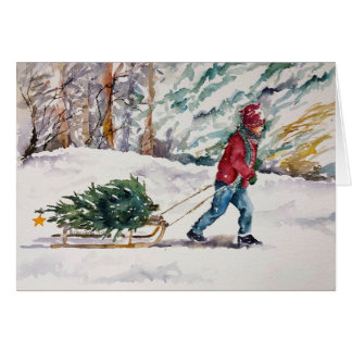 Het Huis van de Boom