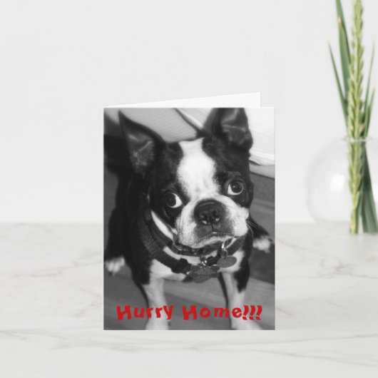 Het Huis van de haast Kaart (Voorkant)