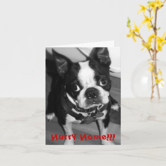 Het Huis van de haast Kaart (Gele Bloem)