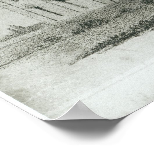 Het huis van de President na de vernietiging Poster (Hoek)