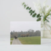 Het Huis van Muckross, Killarney Ierland Briefkaart (Staand voorkant)