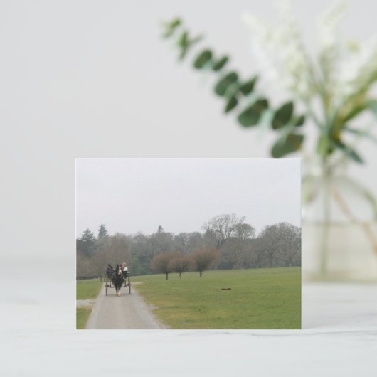 Het Huis van Muckross, Killarney Ierland Briefkaart (Staand voorkant)