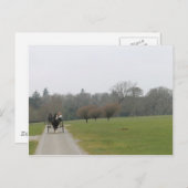 Het Huis van Muckross, Killarney Ierland Briefkaart (Voorkant / Achterkant)