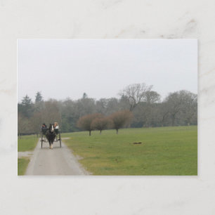 Het Huis van Muckross, Killarney Ierland Briefkaart