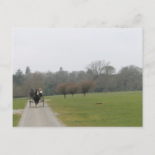 Het Huis van Muckross, Killarney Ierland Briefkaart (Voorkant)