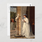 Het huisdier Cockato Briefkaart (Voorkant / Achterkant)