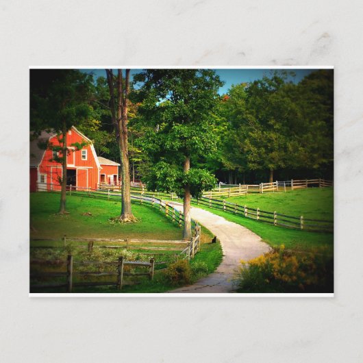 Het huiskat van het boerderij in het boerenerf briefkaart (Voorkant)