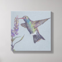 Het Humming Bird Stretched Canvas Druk