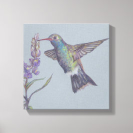 Het Humming Bird Stretched Canvas Druk