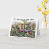 Het humoristische Wenskaart van Texting van de Kaart (Gele Bloem)