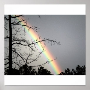 Het huren na Rainbows Poster