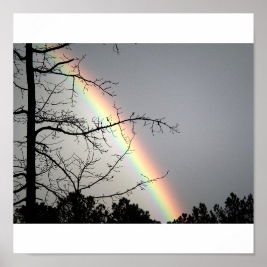 Het huren na Rainbows Poster (Voorkant)