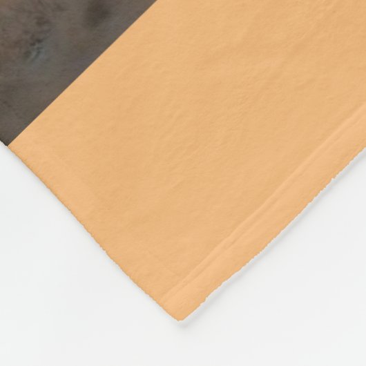 Het huren van een vlinder fleece deken (Hoek)