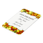 Het huwelijk van de SPRingtime sparen de Magnet va Magneet (Linkerzijde)