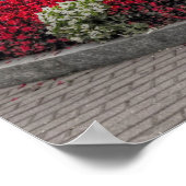 Het Iconisch van Saratoga 12 Trappen met graszoene Poster (Hoek)