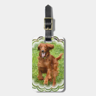 Het Ierse Bagagelabel van Setter