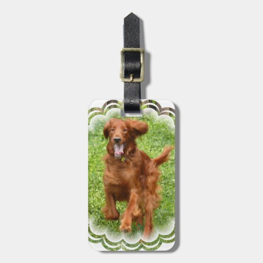 Het Ierse Bagagelabel van Setter (Voorkant verticaal)