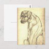 Het Ierse Puppy die van de Wolfshond Briefkaart (Voorkant / Achterkant)