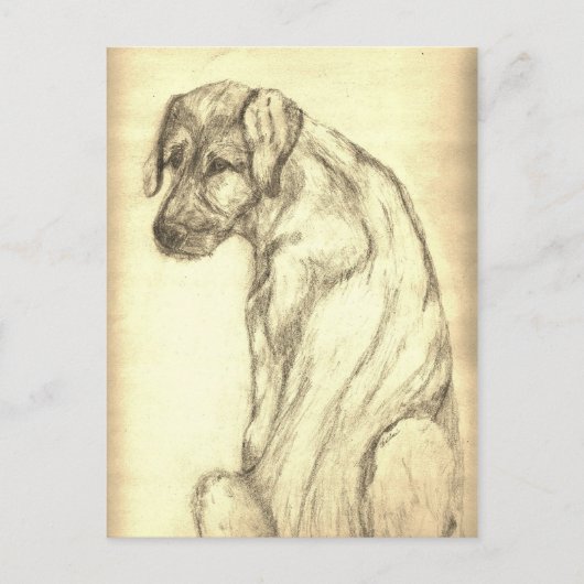 Het Ierse Puppy die van de Wolfshond Briefkaart (Voorkant)