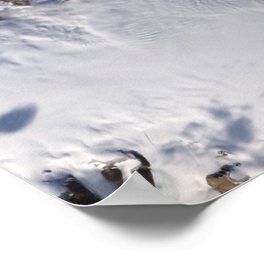 Het ijseiland poster (Hoek)