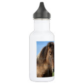 Het IJslandse paard - een echte vriend Waterfles (Links)