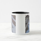 Het in Canada gebouwde Dextre roboticasysteem 2 Mok (Midden)