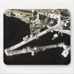 Het in Canada gebouwde ruimtestation Muismat