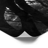 Het in de Bomen schijnen Poster (Hoek)