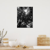 Het in de Bomen schijnen Poster (Keuken)