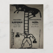 Het in evenwicht brengen van een Levende Donkey ~ Briefkaart (Voorkant)