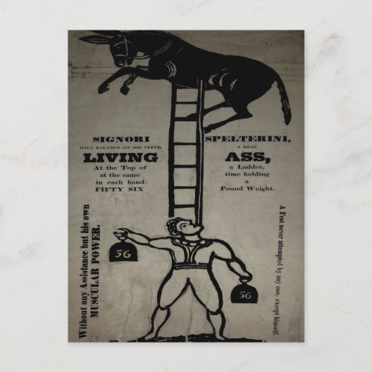 Het in evenwicht brengen van een Levende Donkey ~  Briefkaart (Voorkant)