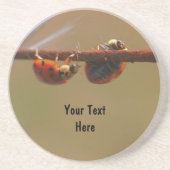 Het in evenwicht brengen van het Onderzetter van d (Voorkant)