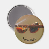 Het in evenwicht brengen van Natuur Ladybugs Geper Magneet (Voorkant / Achterkant)