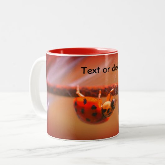 Het in evenwicht brengen van Natuur Ladybugs Geper Tweekleurige Koffiemok (Voorkant links)