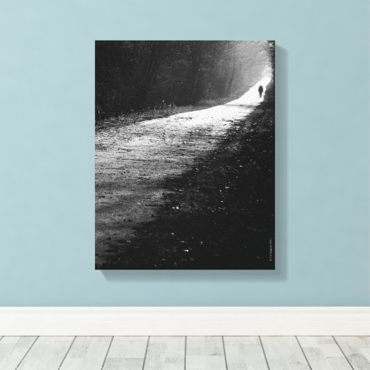 Het in Trail verpakte canvas (Insitu (Houten vloer))