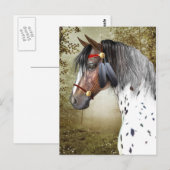 Het Indiase Pony Briefkaart (Voorkant / Achterkant)