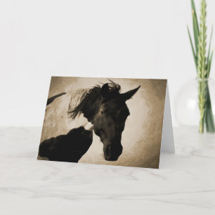 Het Indische Wenskaart van het Pony Kaart